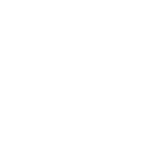 hubcore-favicon