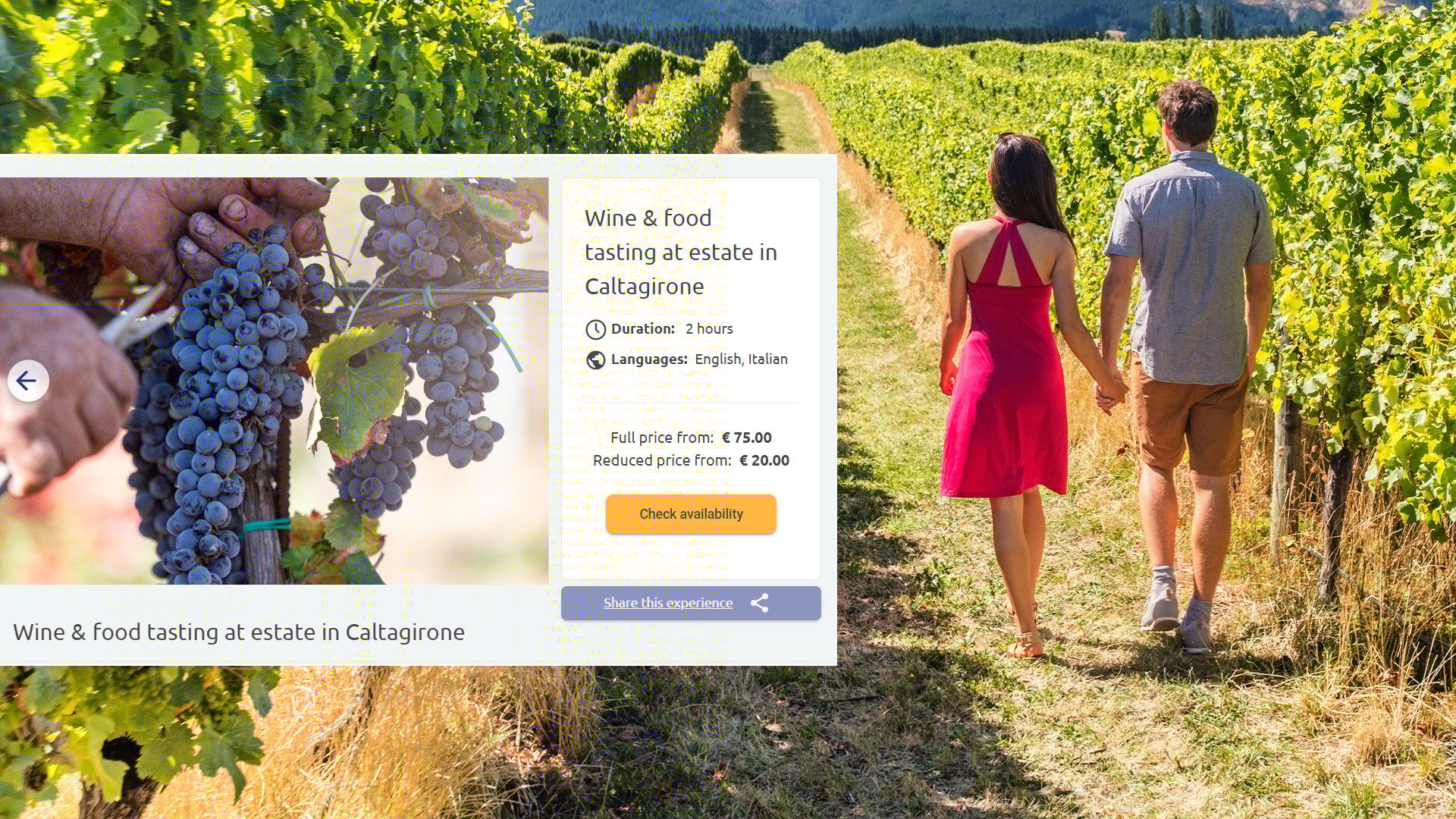 solo-experience-img-eng (3)